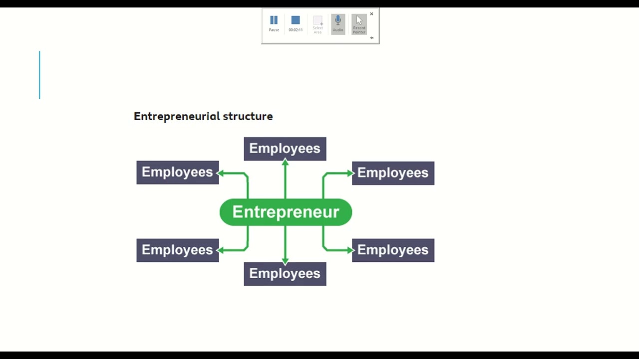 Entrepreneurial structure diagram